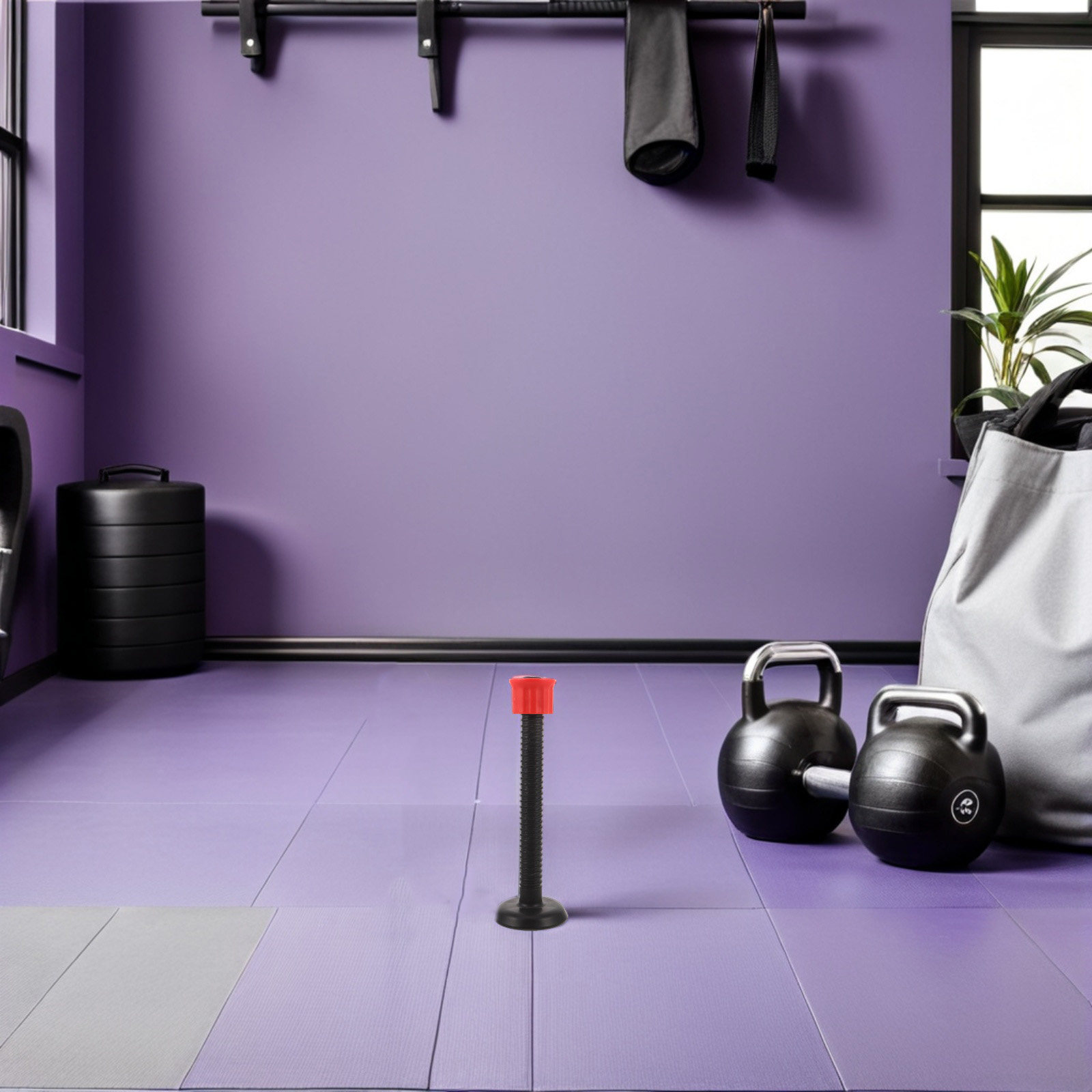 Barres de support en plastique - Home Gym Women avis et prix